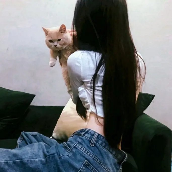 百胜铁骑兵